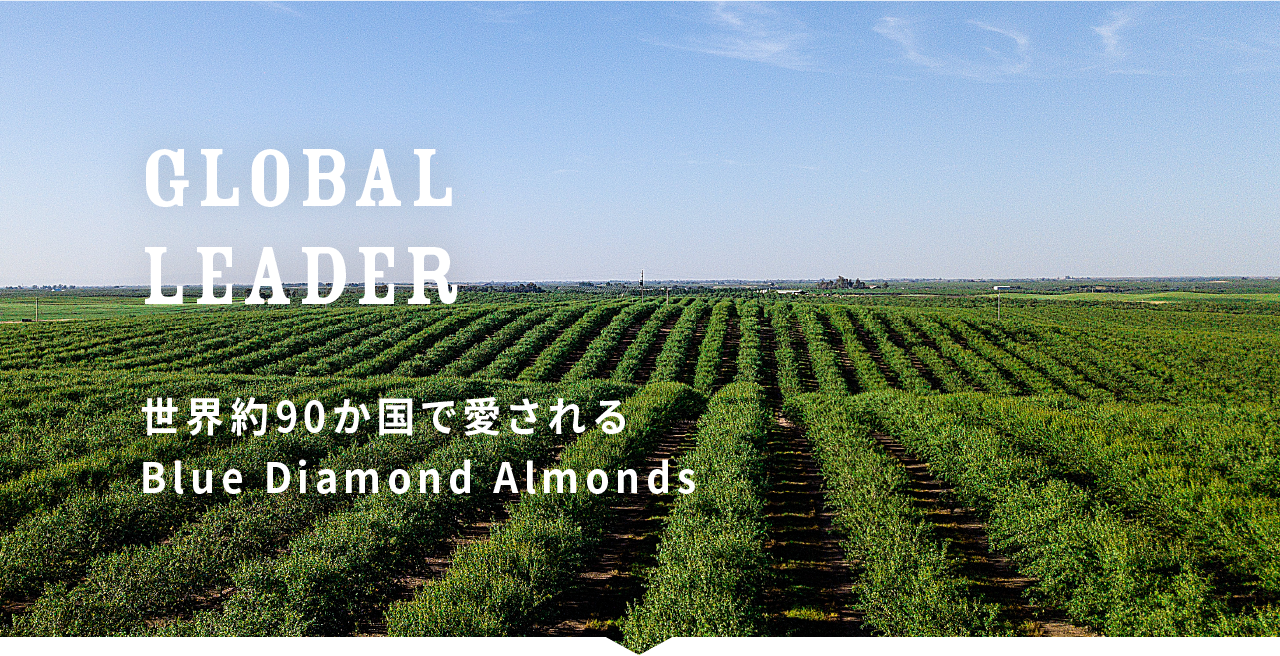 世界約90か国で愛されるBlue Diamond Almonds
